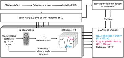 Prediction of Speech Intelligibility by Means of EEG Responses to Sentences in Noise